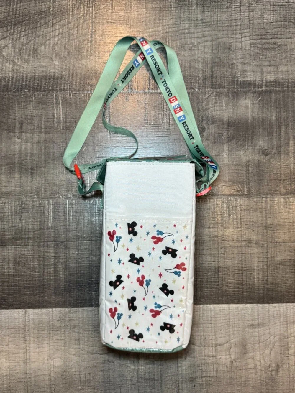 Tokyo Disneyland Resort Retro Popcorn Case Shoulder Bag My Pals